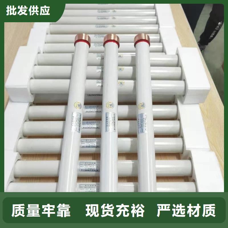 高壓熔斷器XRNP-10KV高壓限流熔斷器品質值得信賴