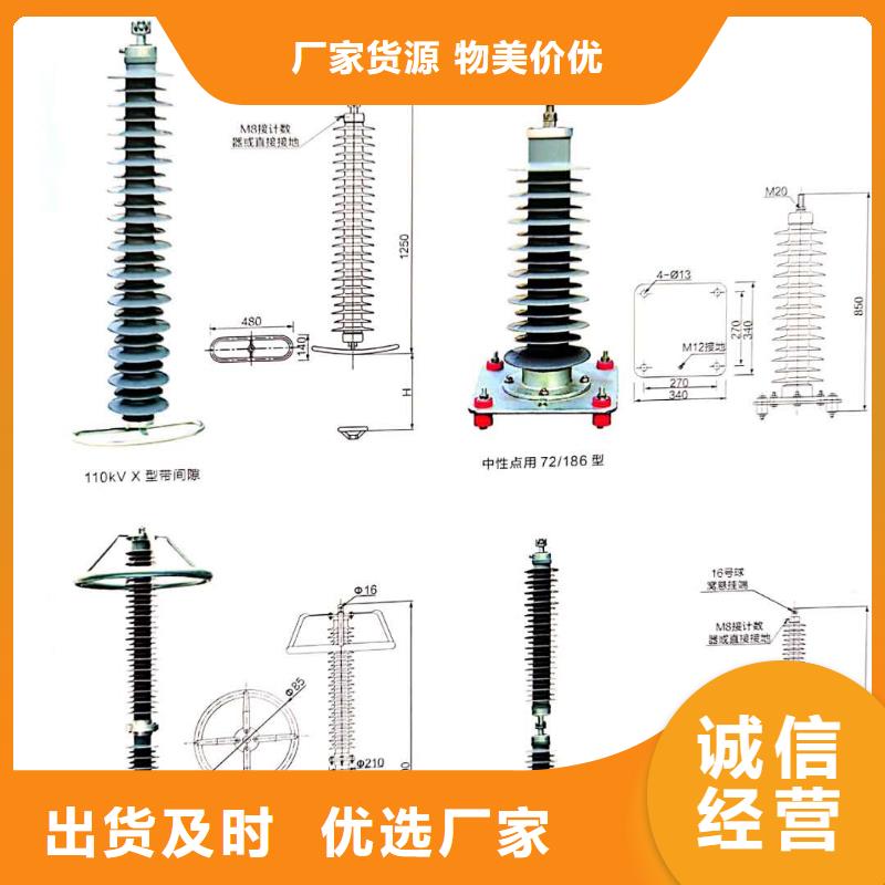 氧化锌避雷器【户外高压真空智能断路器】工艺精细质保长久