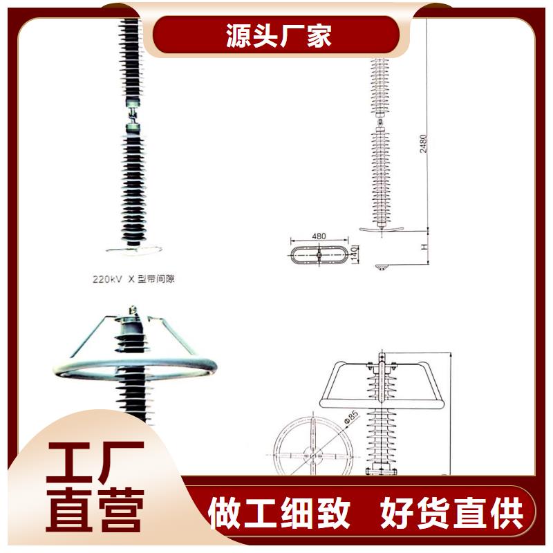 氧化锌避雷器XRNT-12KV熔断器专注生产制造多年