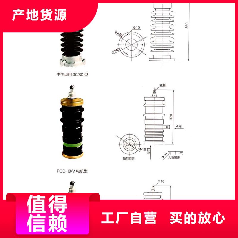 氧化锌避雷器PT手车支持大批量采购