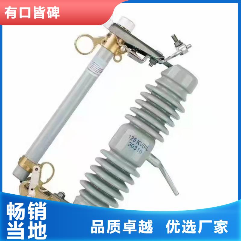 跌落式熔斷器高壓限流熔斷器品質無所畏懼