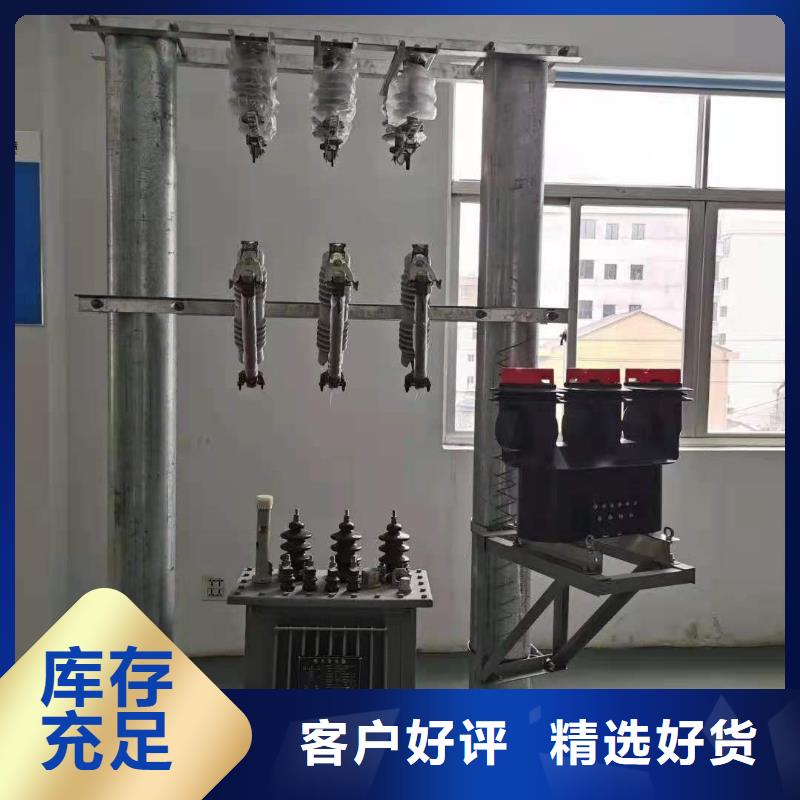 跌落式熔斷器高壓限流熔斷器品質無所畏懼