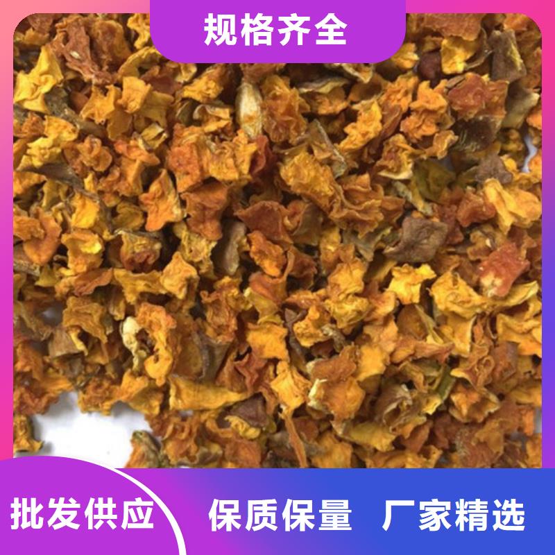 南瓜丁實力雄厚