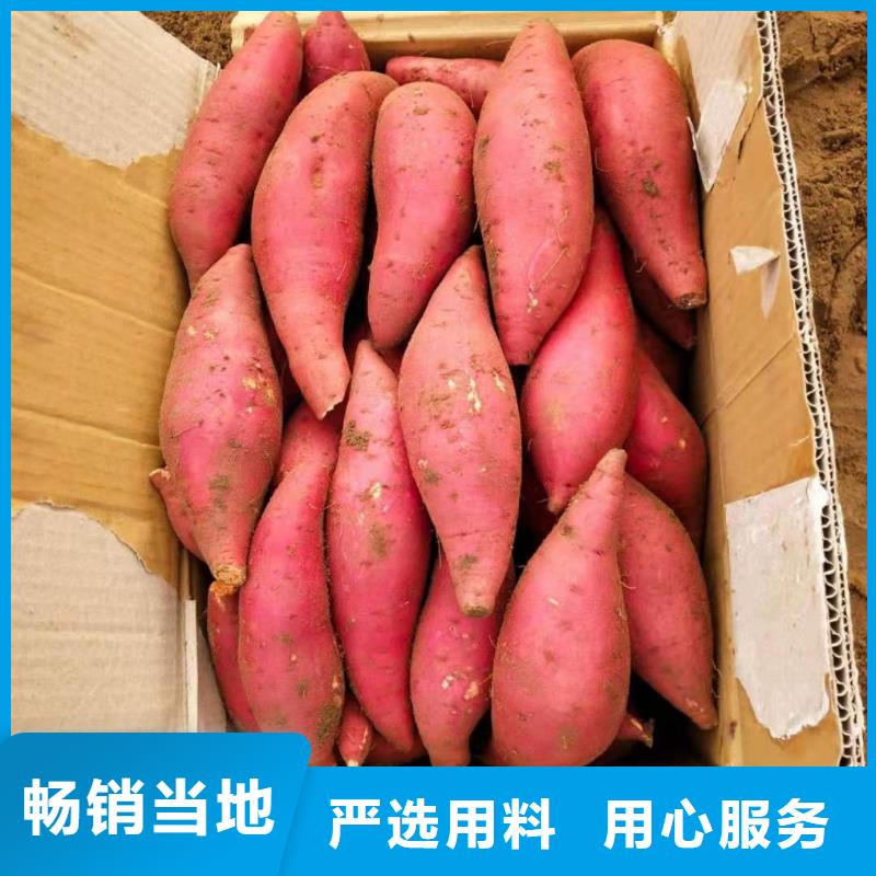 紫薯苗紅薯粉多種優勢放心選擇