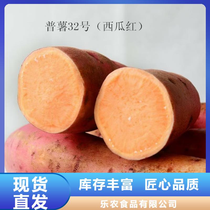 紫薯苗紅薯粉多種優勢放心選擇