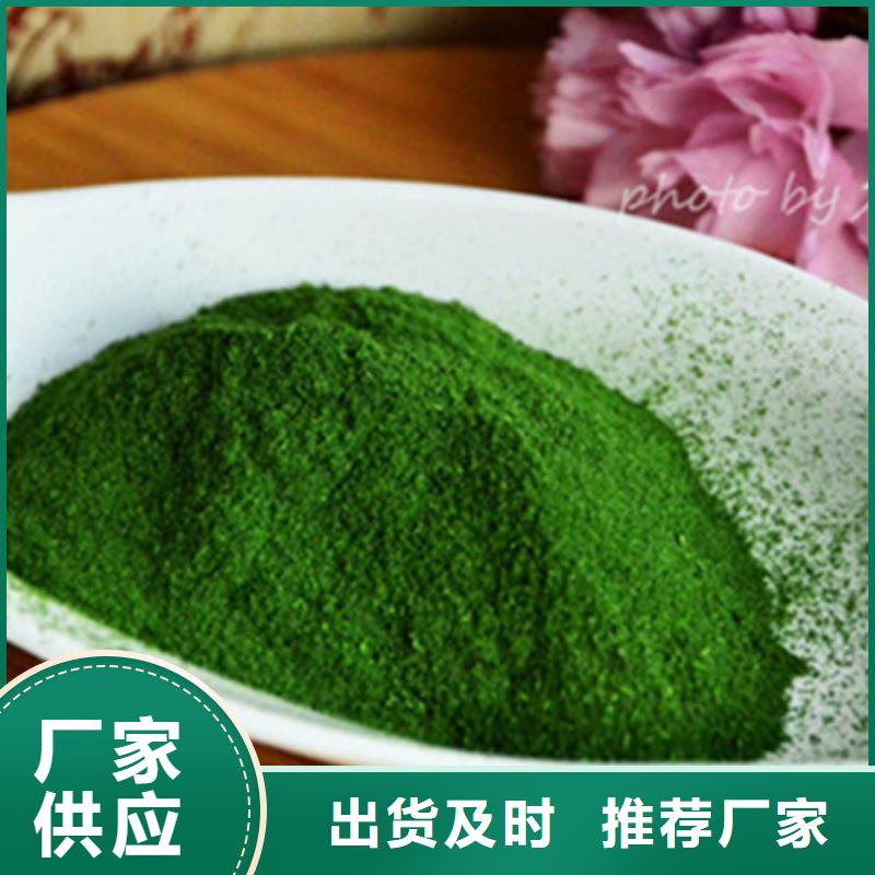 菠菜粉规格齐全