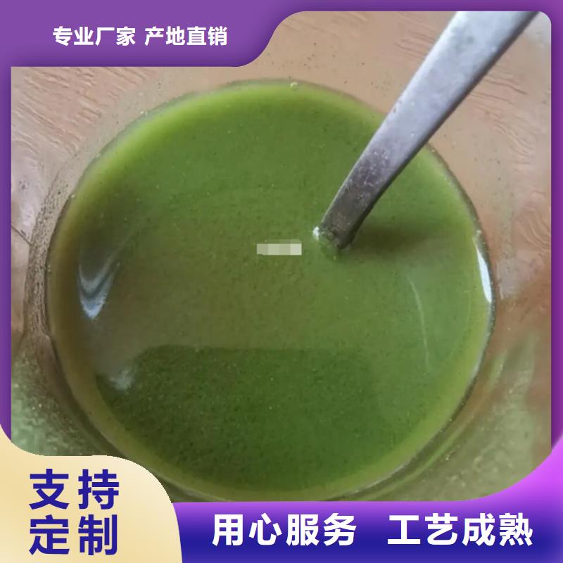 羽衣甘藍(lán)粉飲料廠家-為您服務(wù)