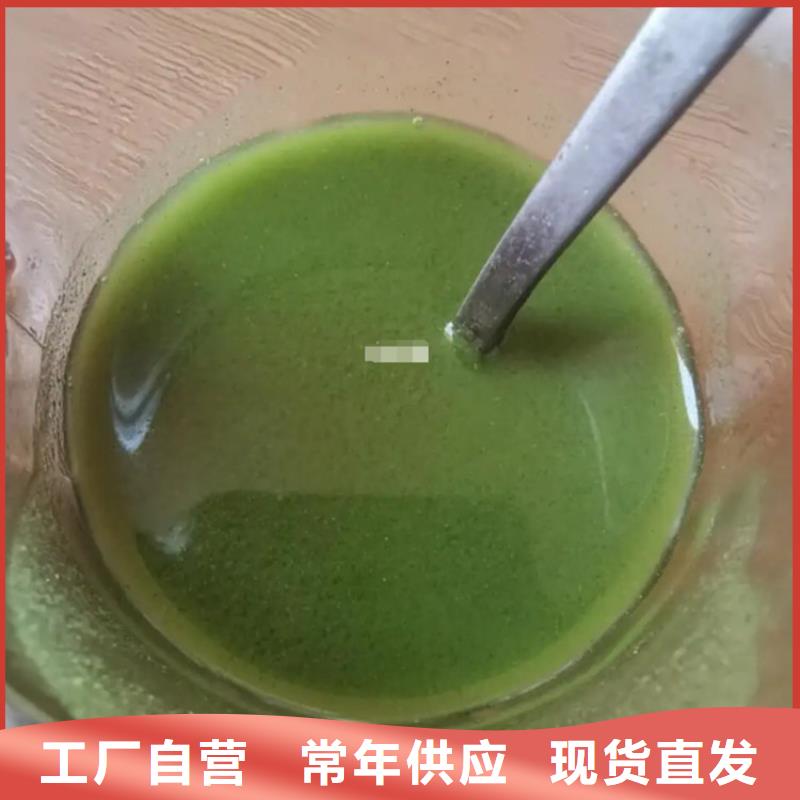 羽衣甘藍粉直供廠家電話