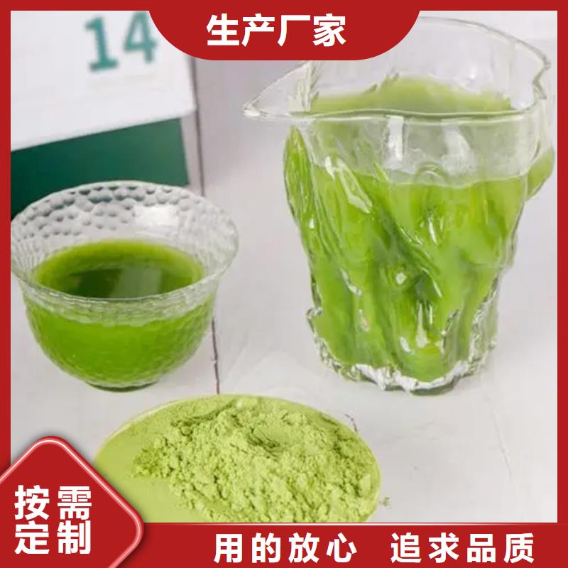 定制羽衣甘蓝粉_品牌厂家