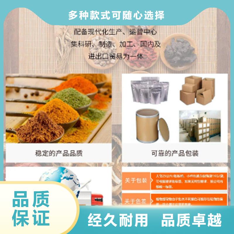 专业销售羽衣甘蓝粉末厂家