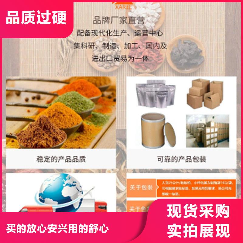 羽衣甘蓝厂家_大量现货