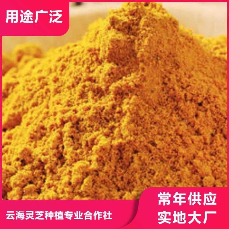 南瓜粉-靈芝孢子粉價(jià)格自產(chǎn)自銷