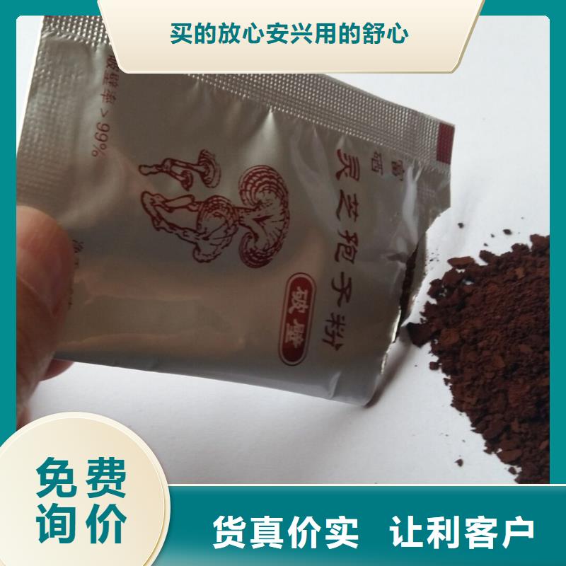 破壁灵芝孢子粉批发价格