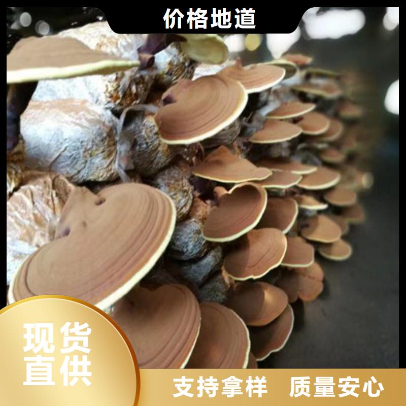 质量好的
灵芝孢子粉大型厂家