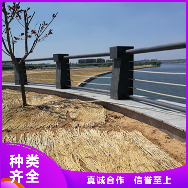 防撞河道防撞护栏展鸿护栏一手货源