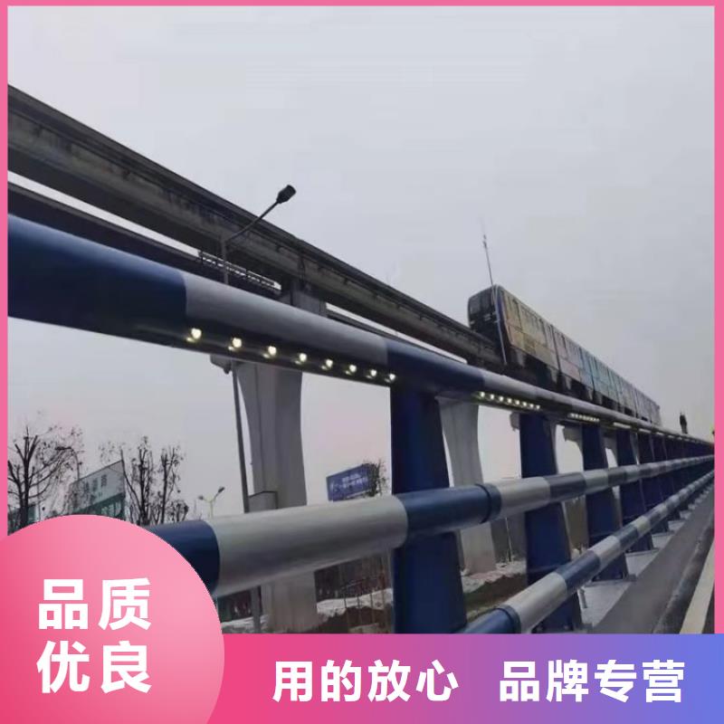 河南N年大品牌[展鸿]高铁站防撞护栏寿命长久安全性高