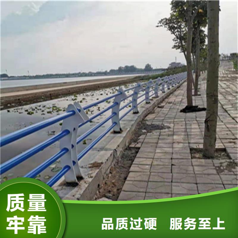 广西省选购<展鸿>河堤复合管防护栏款式新颖