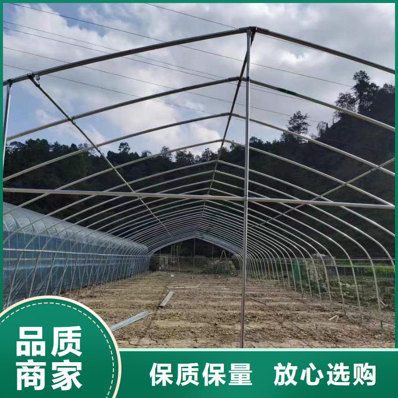 慈利菌菇大棚管无中间商2024