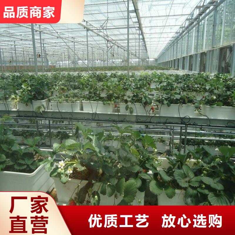 高碑店菌菇大棚骨架管