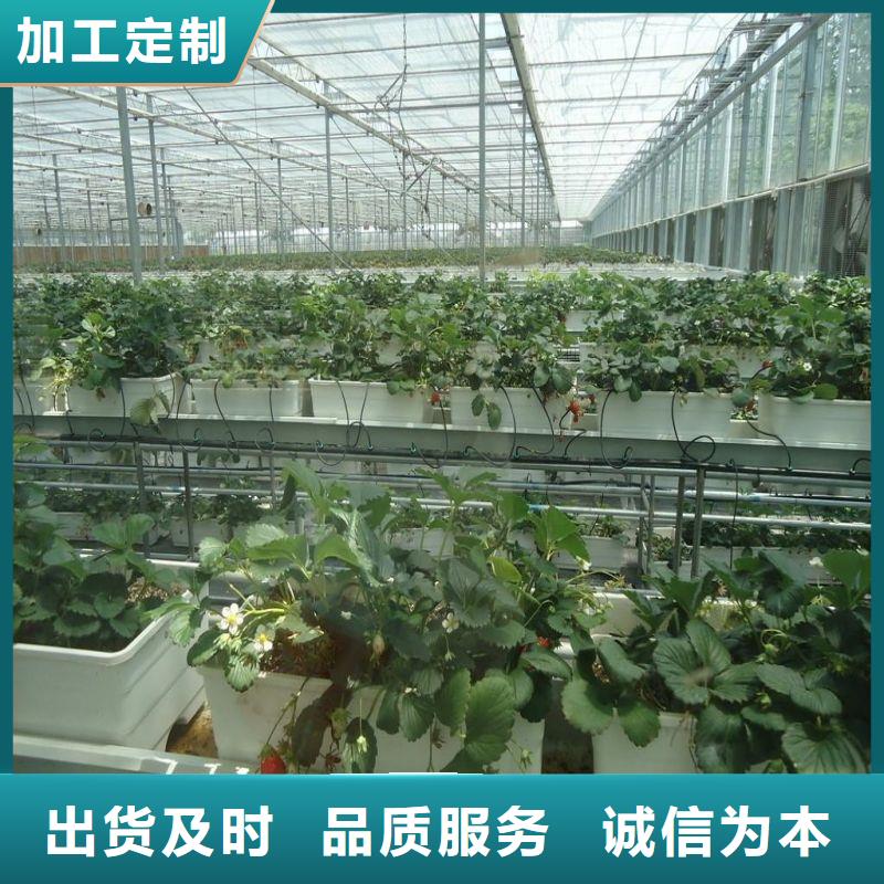 天长市定尺连栋蔬菜大棚管地址