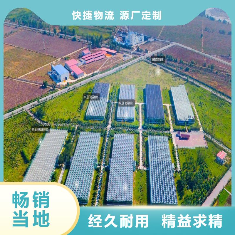 洛扎q195材質(zhì)大棚管現(xiàn)貨