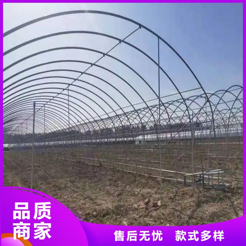 東山鍍鋅大棚管優惠報價