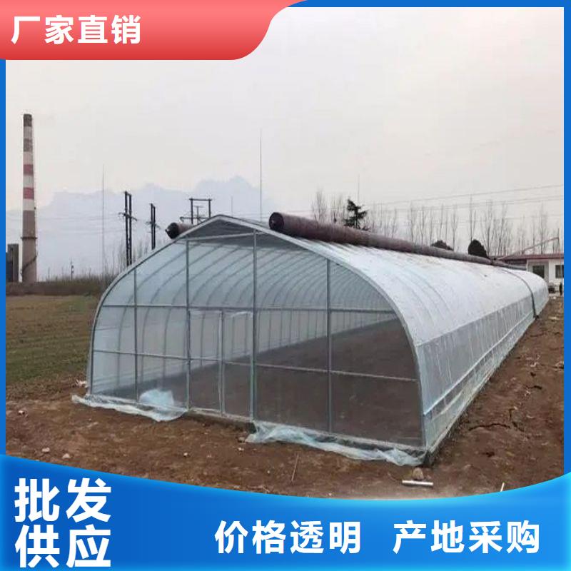 新安街道連棟大棚造價(jià)多少一畝來圖定制2025