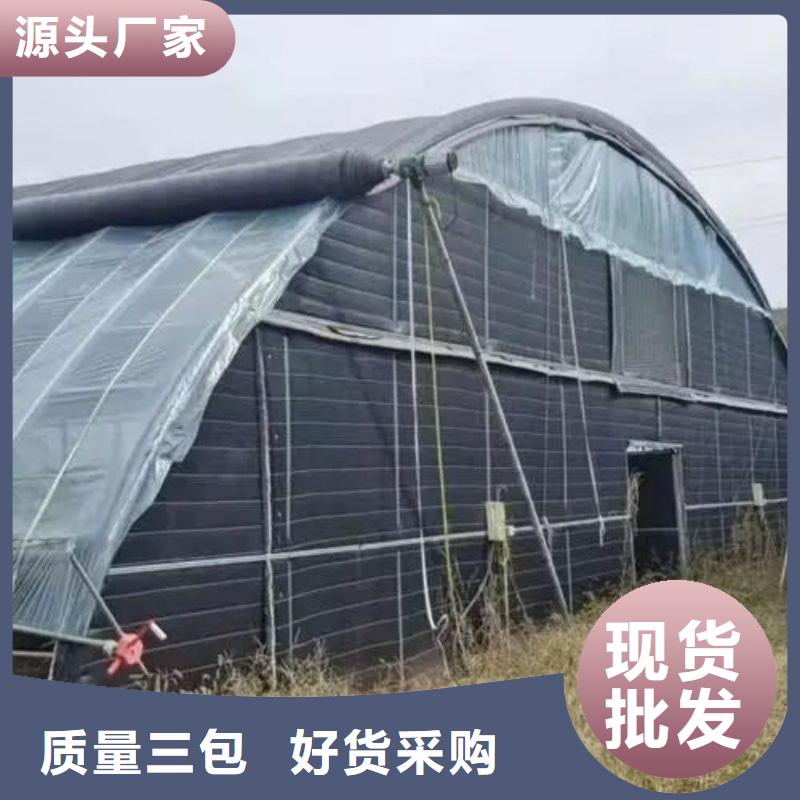 新津街道连栋大棚种植批发零售2024