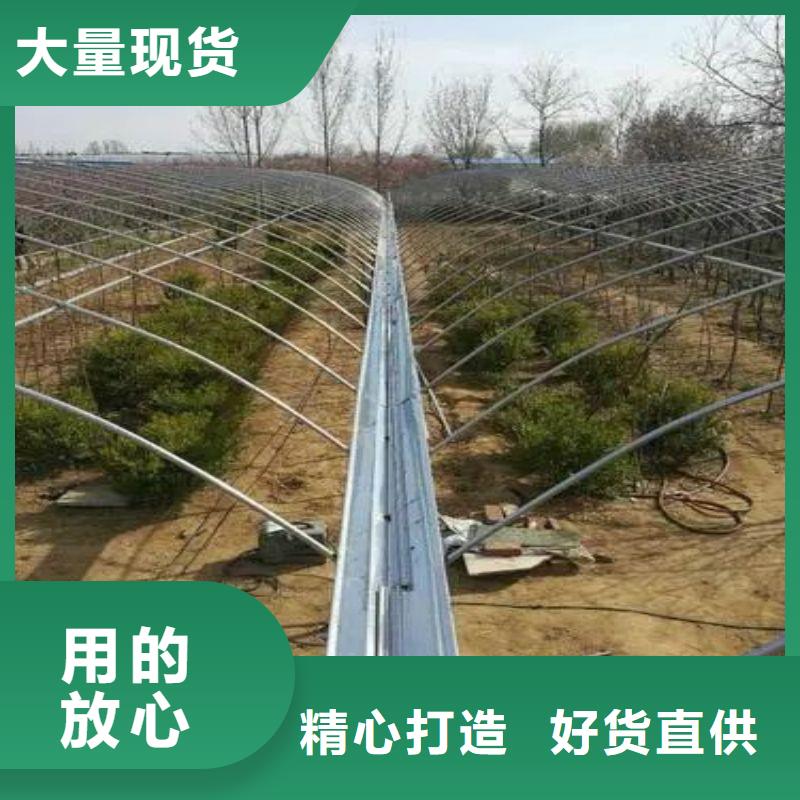 大棚管2農(nóng)業(yè)養(yǎng)殖大棚管品質(zhì)優(yōu)選
