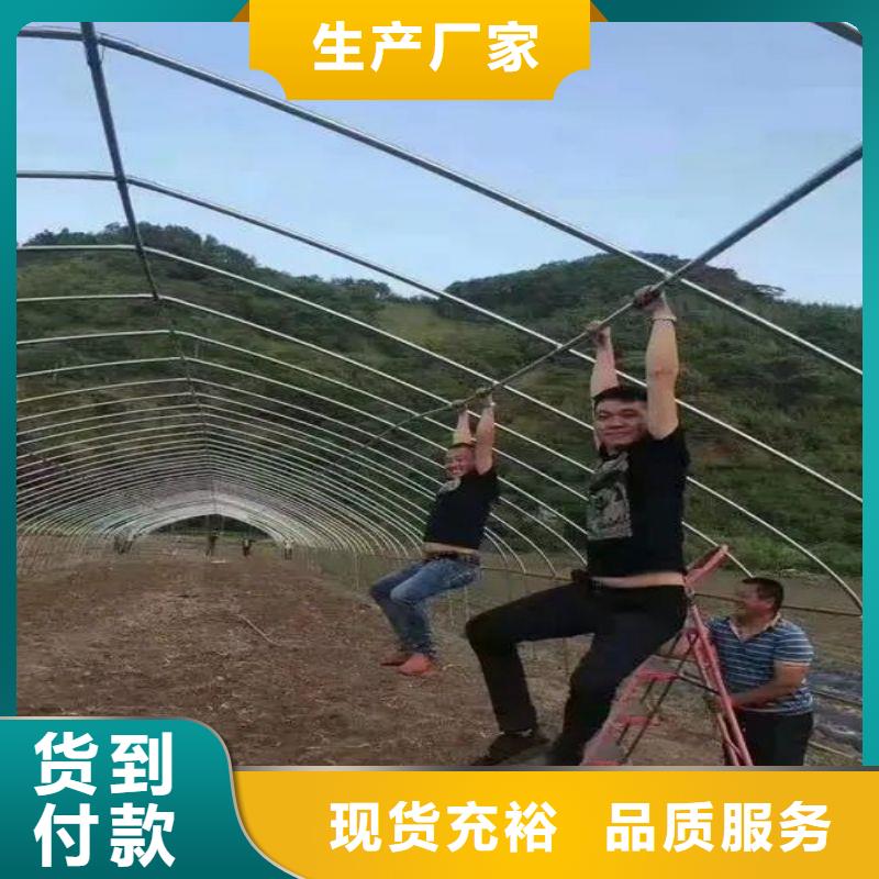 清苑區(qū)防蟲網(wǎng)源頭廠家
