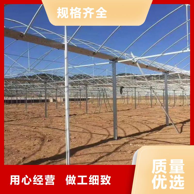 沙井街道連棟大棚近期行情2025