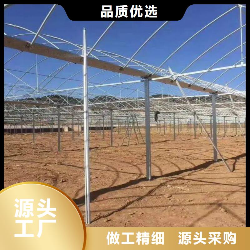 全椒縣塑料薄膜溫室咋買