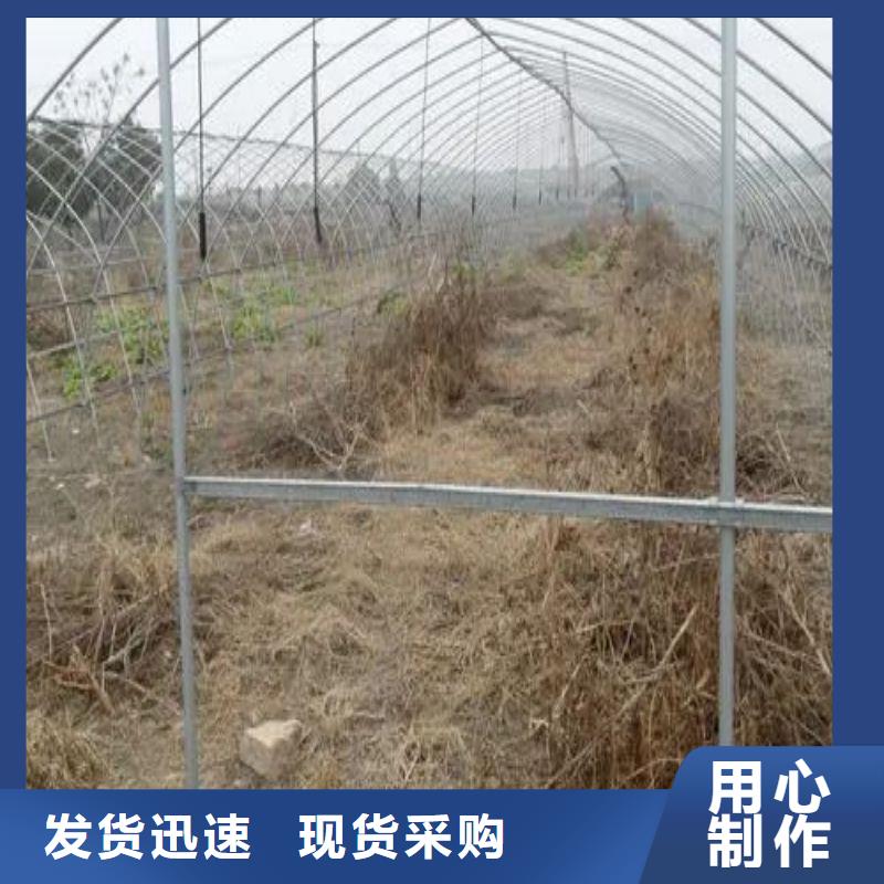坑梓街道無(wú)錫連棟大棚產(chǎn)品介紹2025