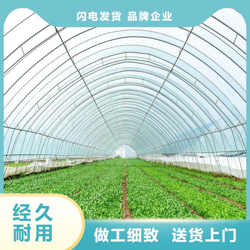 侯馬市圓管大棚感興趣