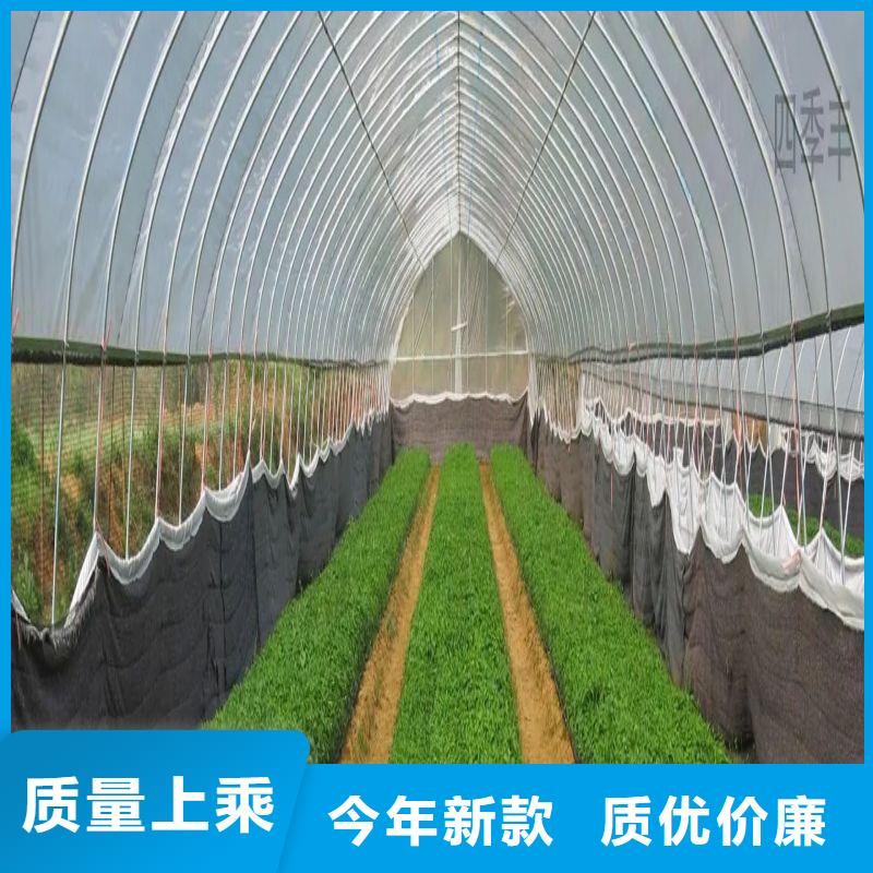昌圖黃瓜大棚管廠家