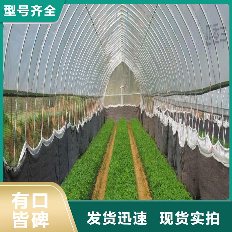 定興縣西瓜大棚骨架機怎么買