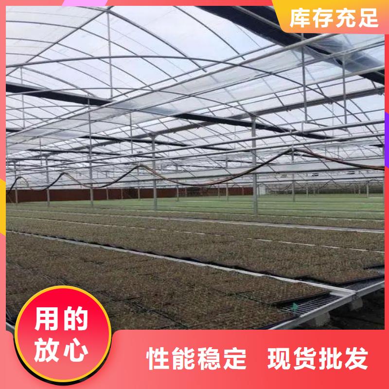 順平縣圓管大棚咋買