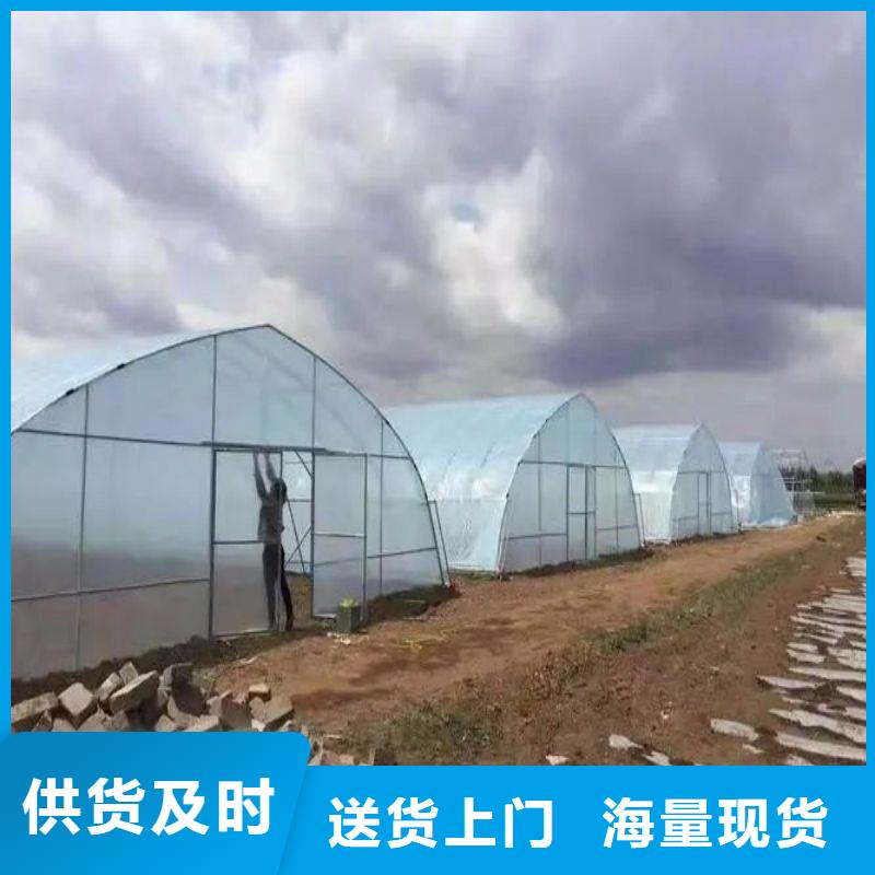 沙井街道連棟大棚近期行情2025