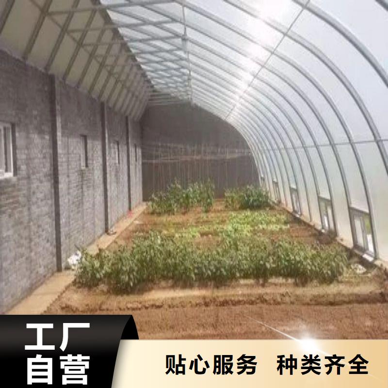 宛城區(qū)火龍果定尺大棚管怎么買