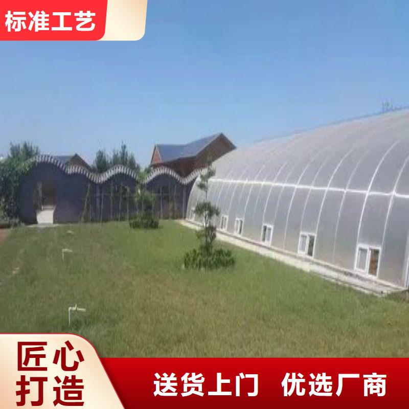 新津街道连栋大棚种植批发零售2024