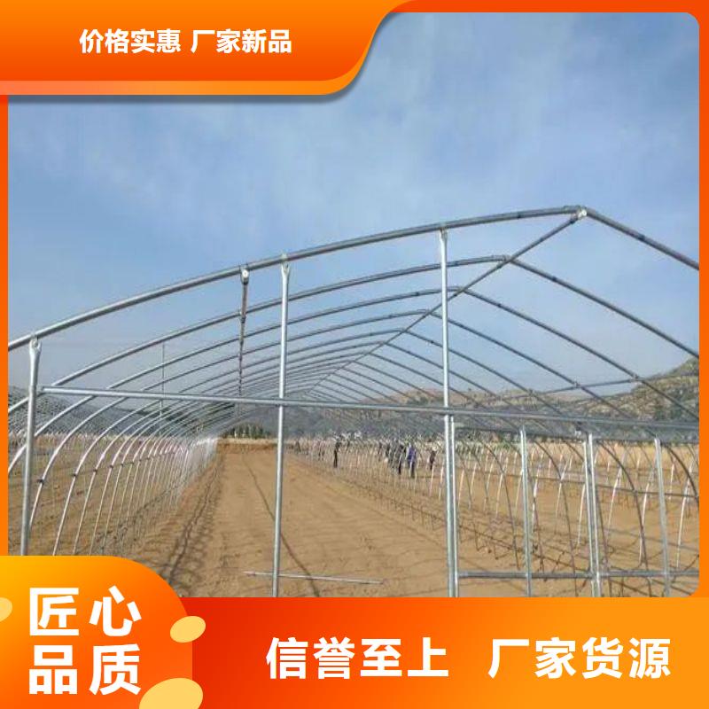 侯馬連棟大棚的優(yōu)缺點歡迎電詢2025