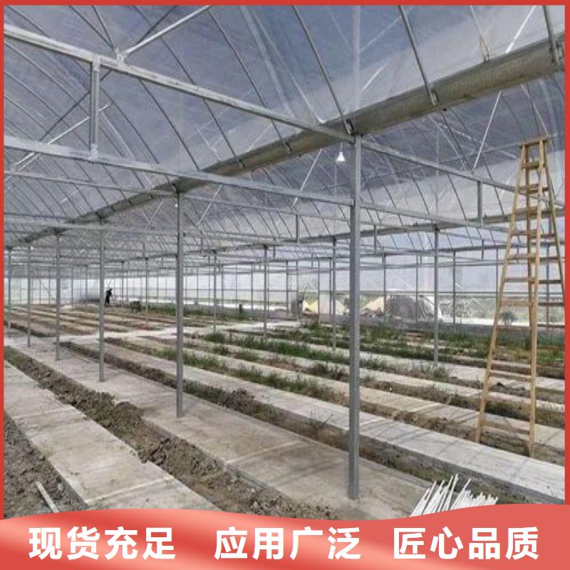 容城無錫連棟大棚批發零售2025