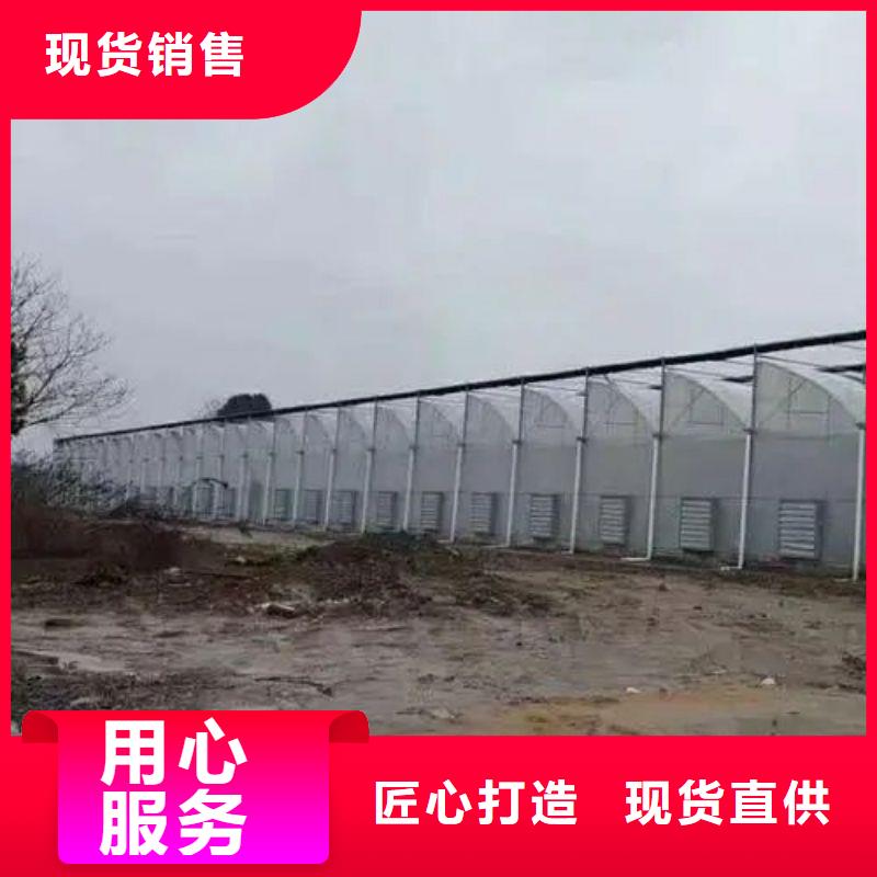 昭覺牛頭大棚管介紹