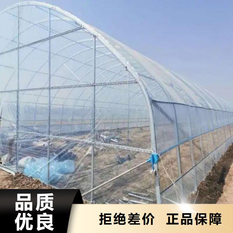 惠安種植大棚本地廠家