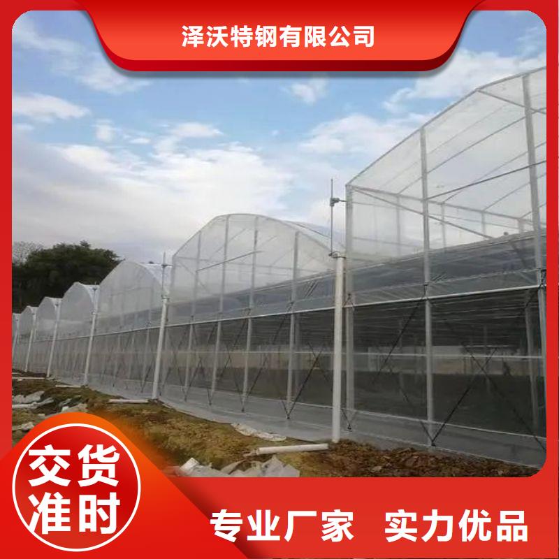 奉賢聯動大棚