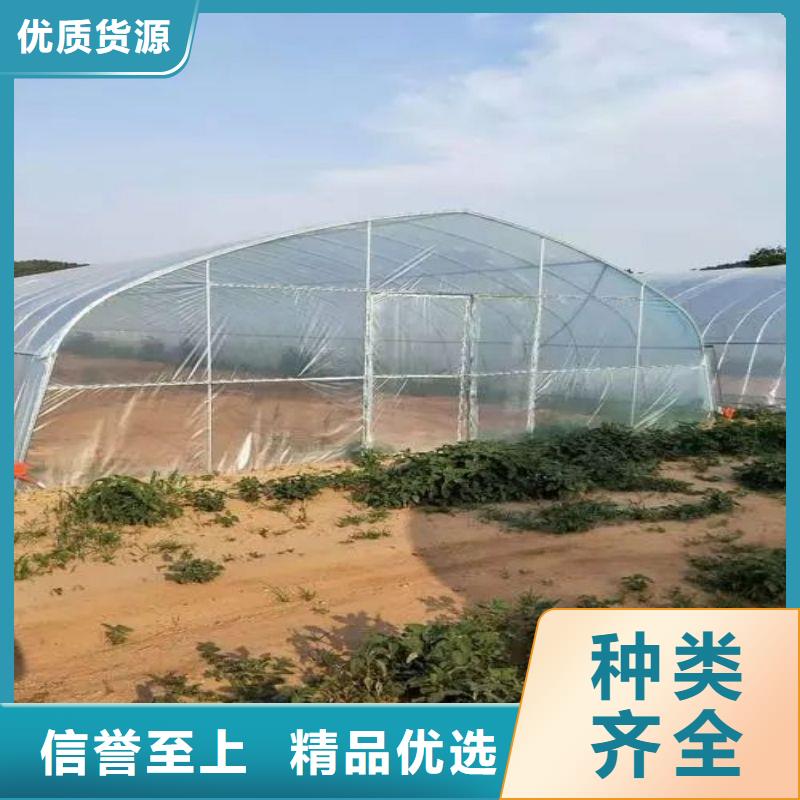 莒南縣養鵝大棚管配件售賣