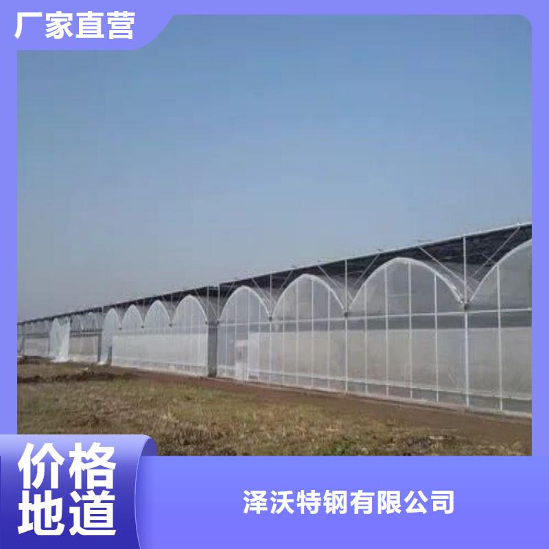 東平菌菇大棚管現貨
