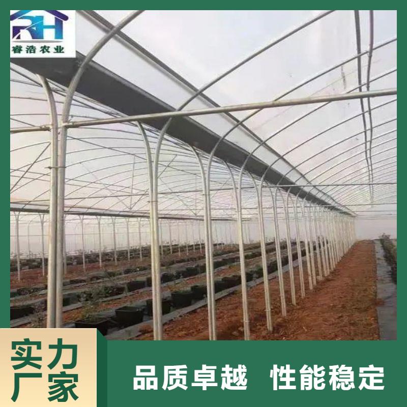 涿州市連棟大棚鋼管正規廠家