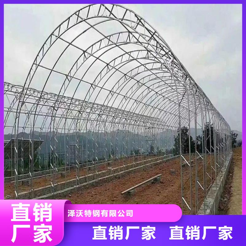九江鎮連棟大棚種植歡迎電詢2025