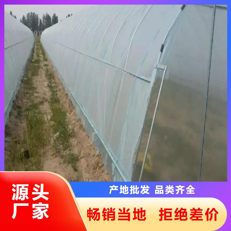 县连体大棚管价格靠谱厂家